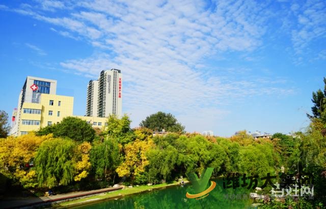 陽光100鳳凰社四室兩廳兩衛住宅164平南北通透