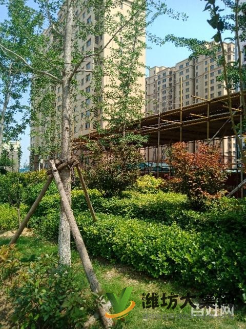 145平大H四室兩衛僅售4880元每平