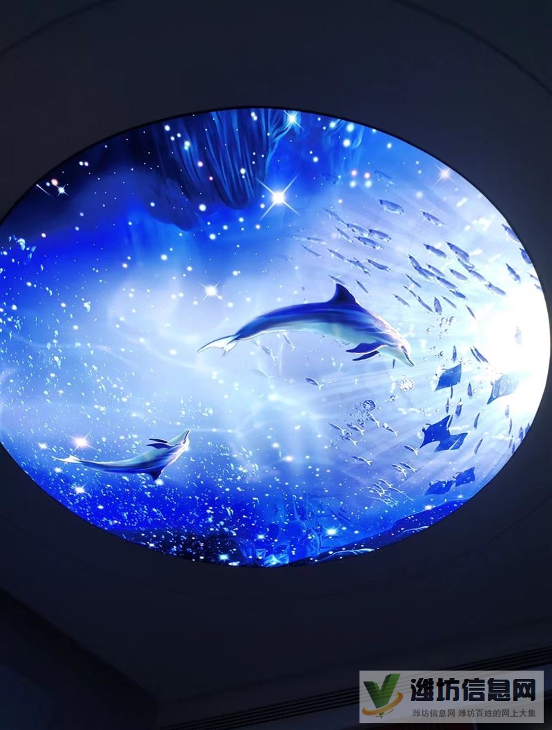 濰坊本地軟膜天花吊頂 透光膜辦公吊頂 星空吊頂 造型燈箱等